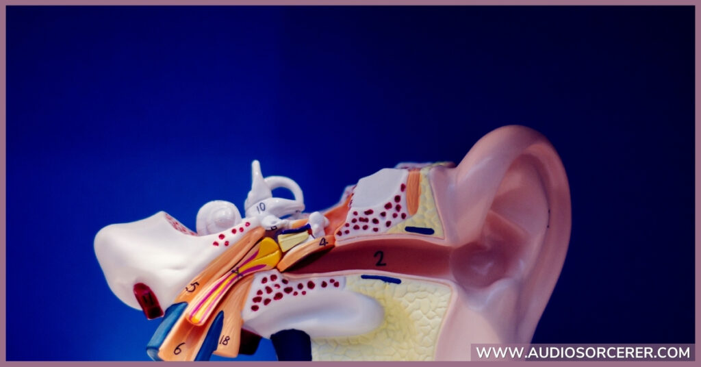 A diagram of an ear showcasing how we hear pitch.