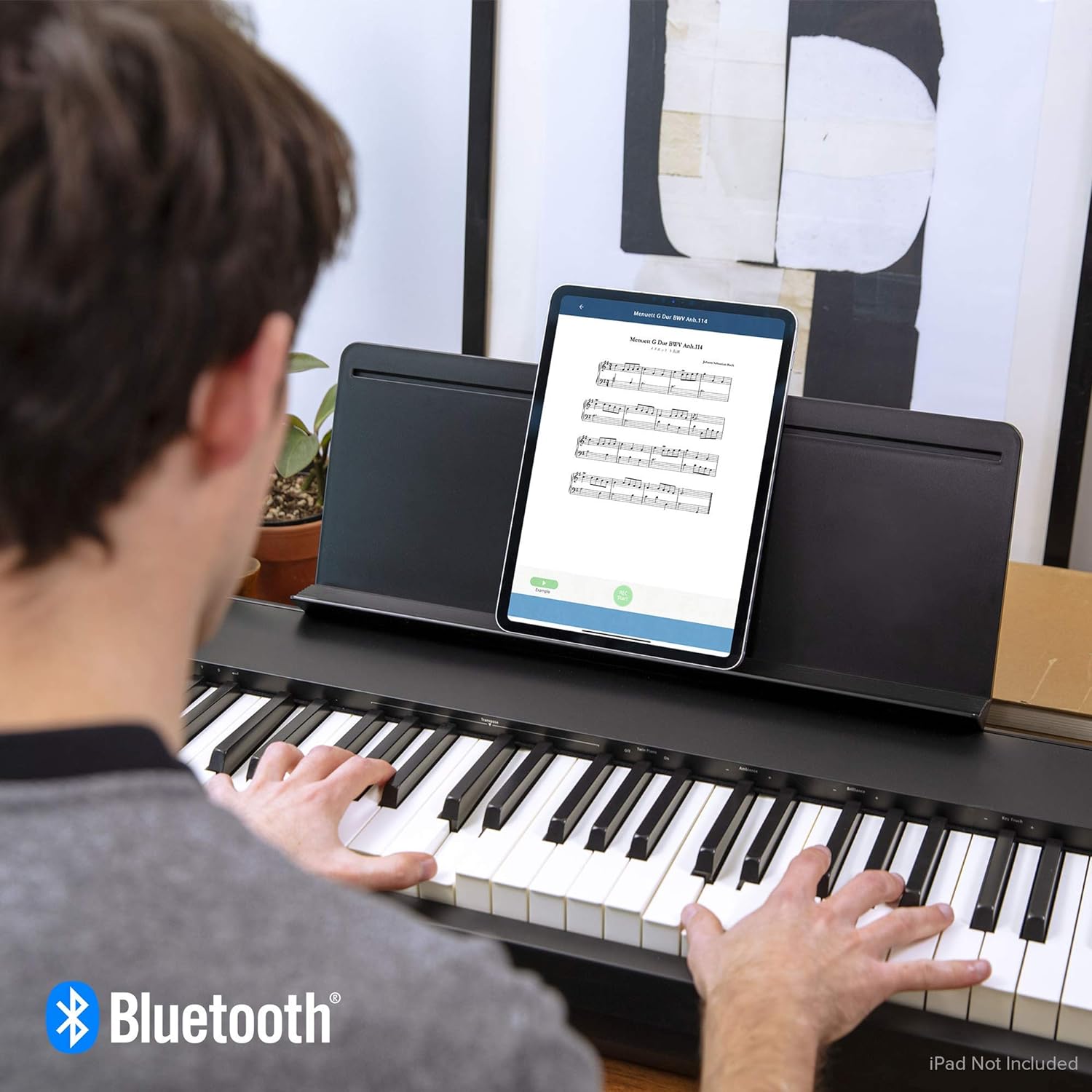 Roland FP-30X Digital Piano promo picture.