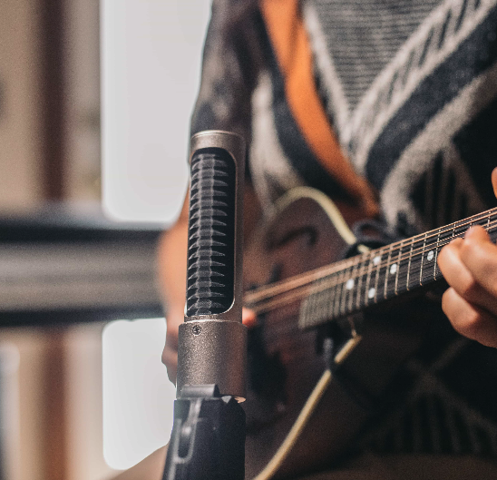 AEA N22 Active Ribbon Microphone